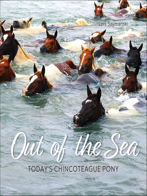 cover image of Out of the Sea